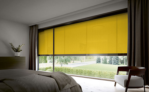 vertical blinds